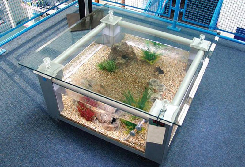 Fish-Tank-Table-Square.jpg