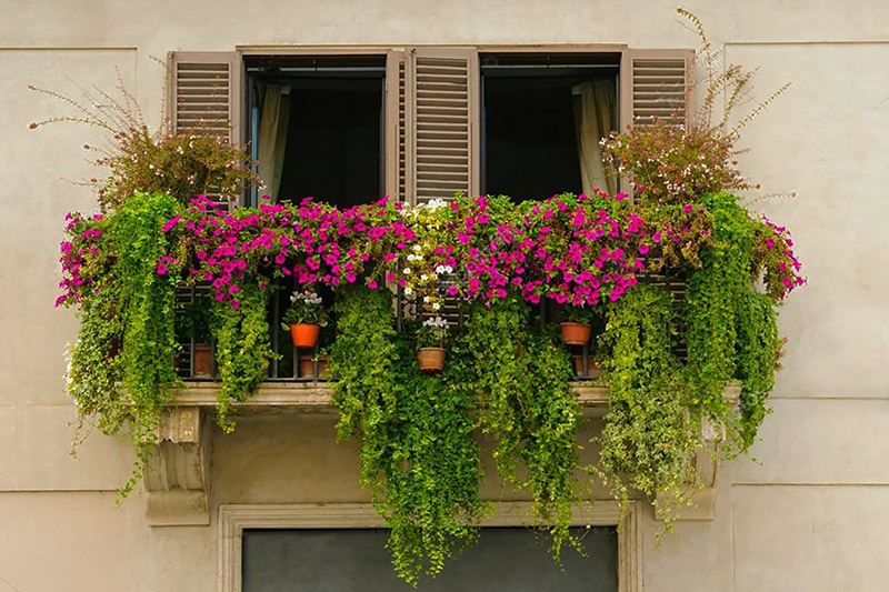 depositphotos_63613141-stock-photo-green-flowery-balcony.jpg