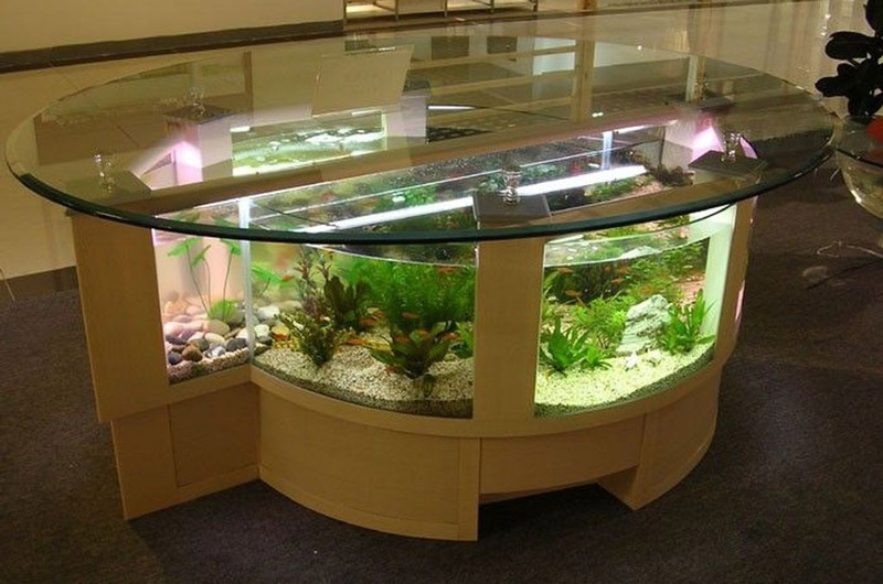 aquarium-feature-on-coffee-table-design-ideas-8.jpg